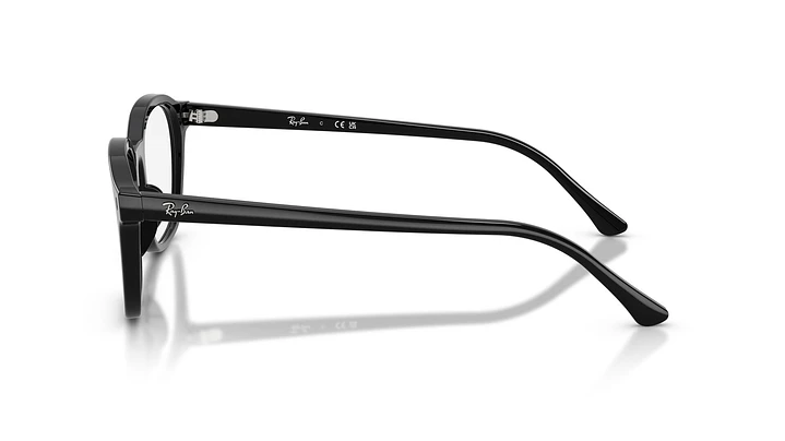 Ray-Ban RX5460 RX5460 2000 52 2