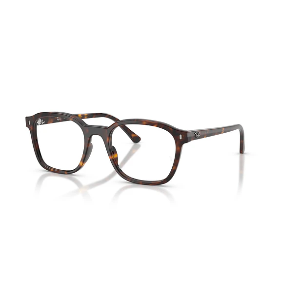 Ray-Ban RX5460 RX5460 2012 50