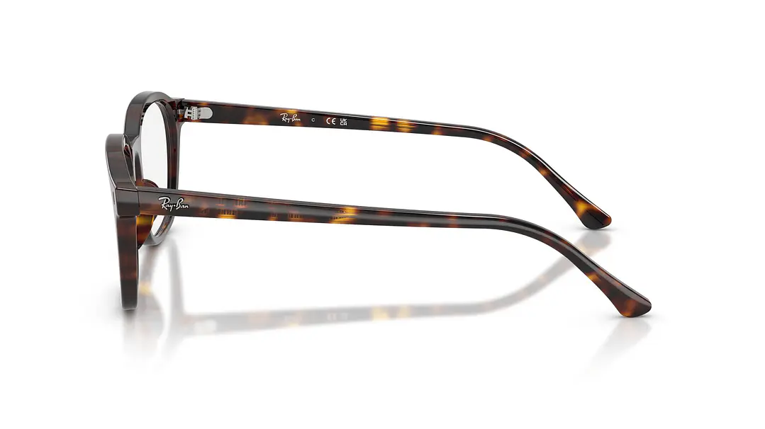 Ray-Ban RX5460 RX5460 2012 50 2
