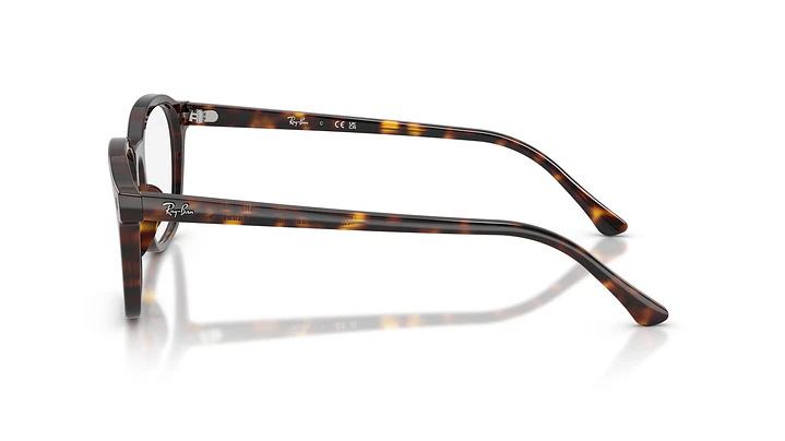 Ray-Ban RX5460 RX5460 2012 50 2