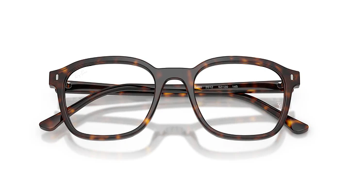 Ray-Ban RX5460 RX5460 2012 50 5