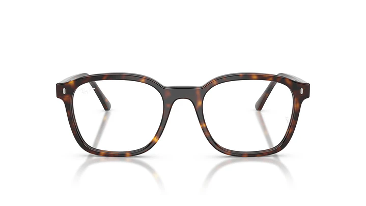 Ray-Ban RX5460 RX5460 2012 52 6