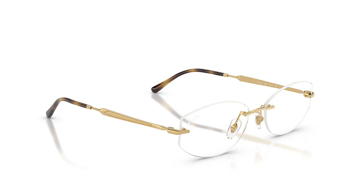 Ray-Ban RX3792V RX3792V 2500 55 4