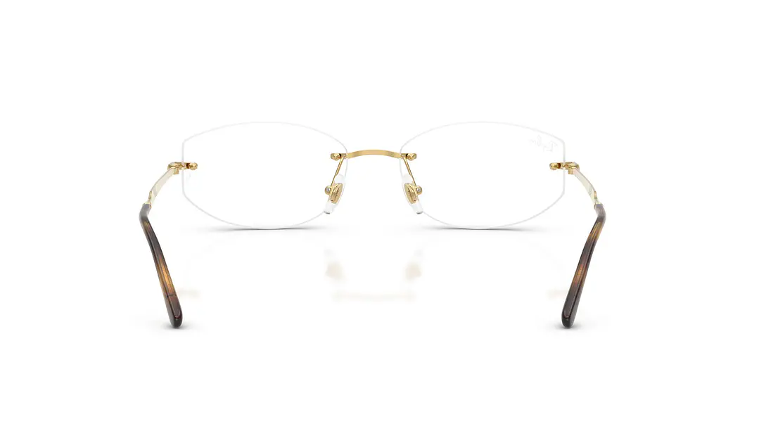 Ray-Ban RX3792V RX3792V 2500 55 3