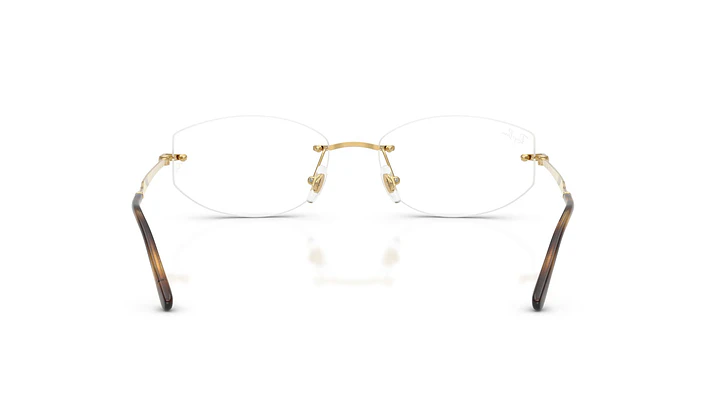 Ray-Ban RX3792V RX3792V 2500 55 3