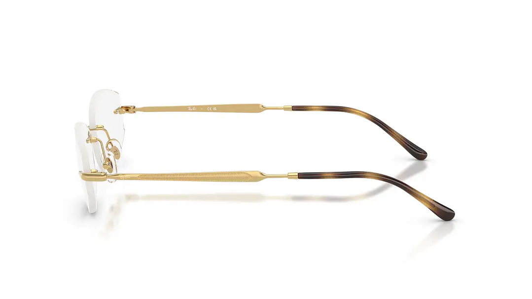 Ray-Ban RX3792V RX3792V 2500 55 2