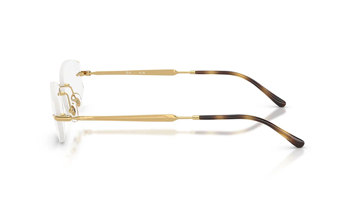 Ray-Ban RX3792V RX3792V 2500 55 2