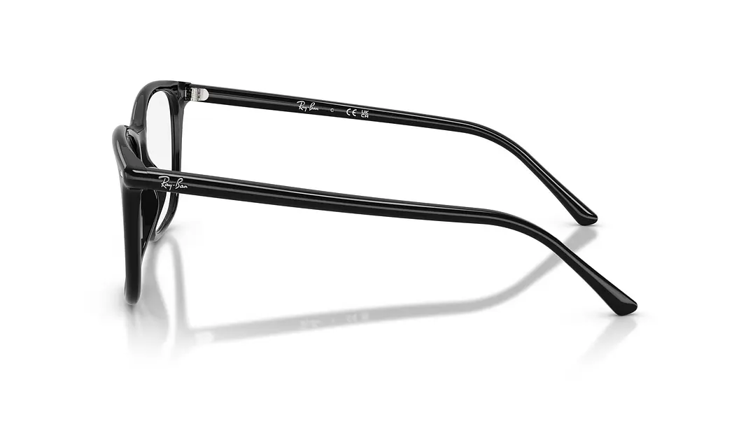 Ray-Ban RX5455 RX5455 2000 52 2