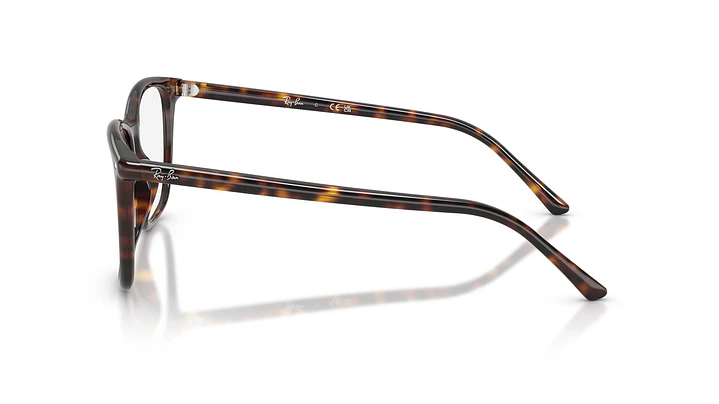 Ray-Ban RX5455 RX5455 2012 52 2