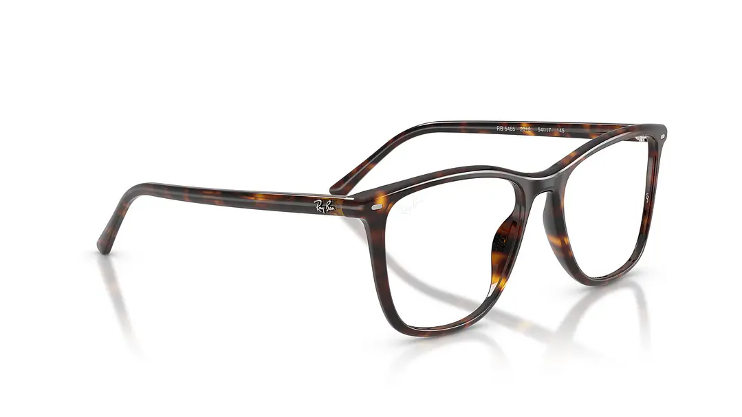 Ray-Ban RX5455 RX5455 2012 52 4
