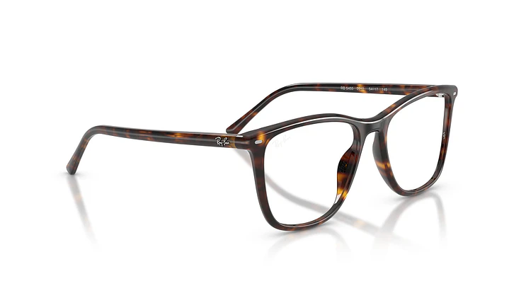 Ray-Ban RX5455 RX5455 2012 54 4