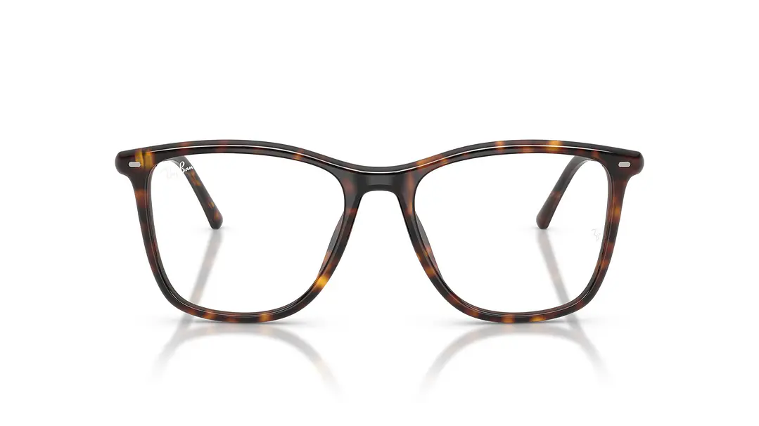 Ray-Ban RX5455 RX5455 2012 54 6