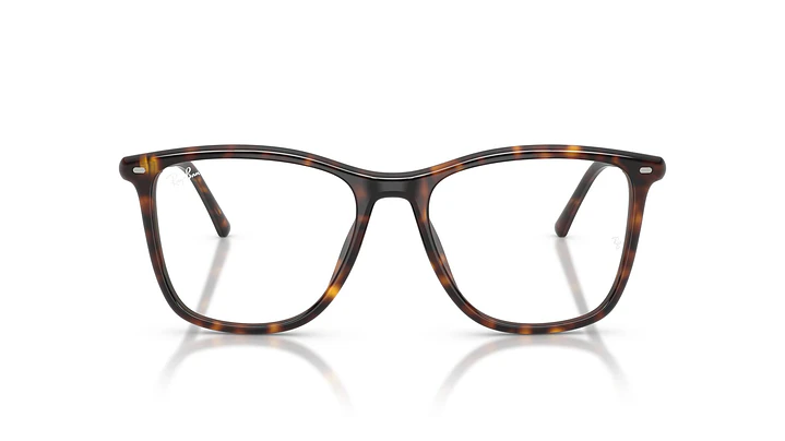 Ray-Ban RX5455 RX5455 2012 54 6