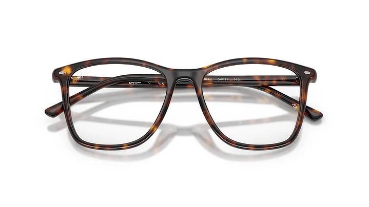 Ray-Ban RX5455 RX5455 2012 54 5