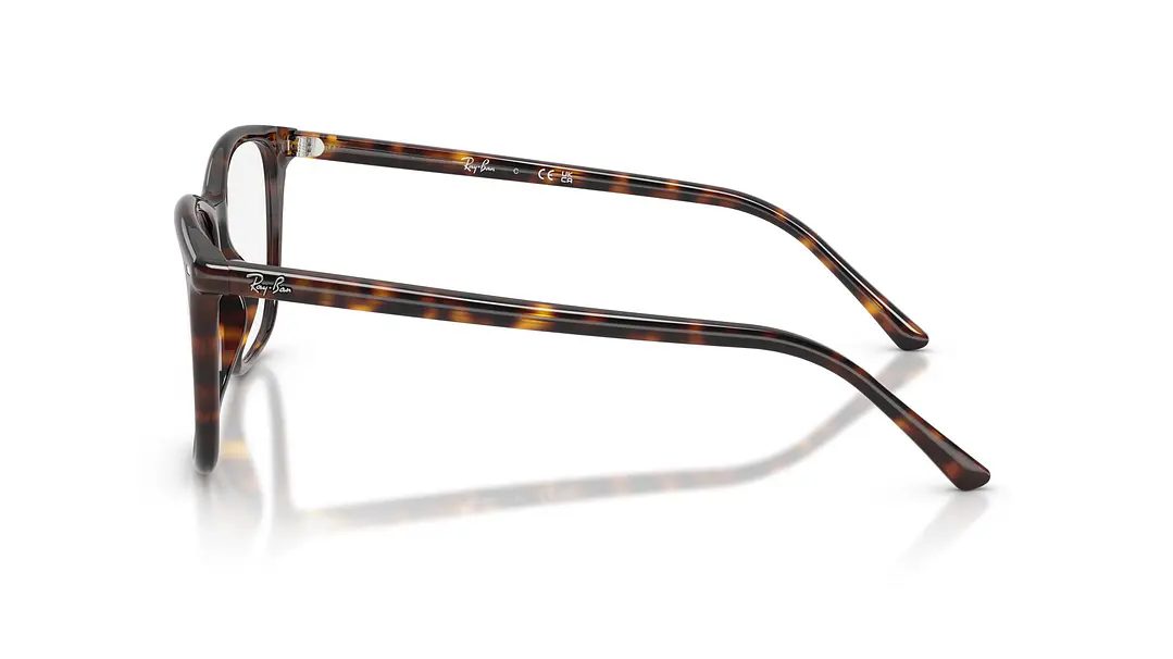 Ray-Ban RX5455 RX5455 2012 54 2