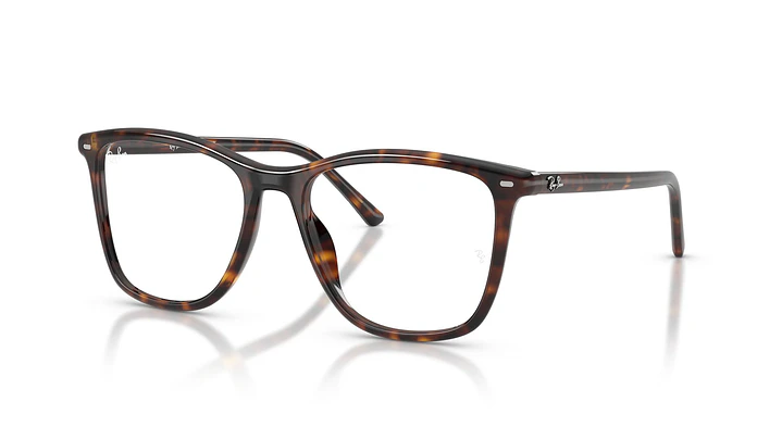 Ray-Ban RX5455 RX5455 2012 54 1