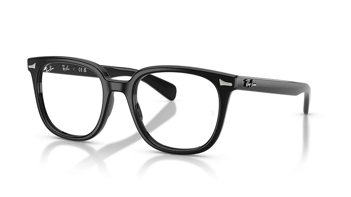 Ray-Ban Brunel Il RX5535 2000 53 1