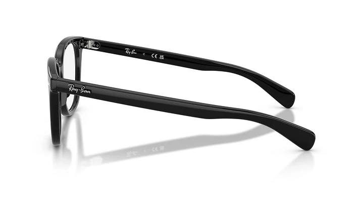 Ray-Ban Brunel Il RX5535 2000 53 2