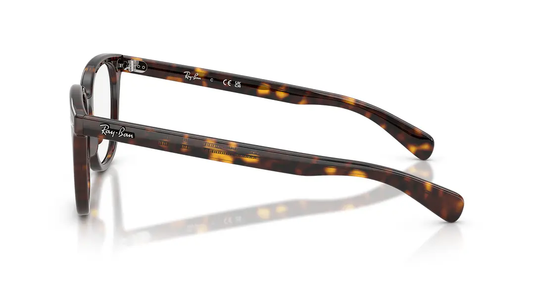 Ray-Ban Brunel Il RX5535 2012 51 2