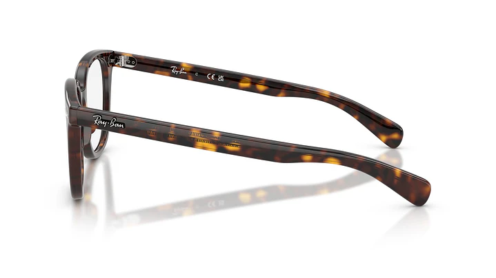 Ray-Ban Brunel Il RX5535 2012 51 2