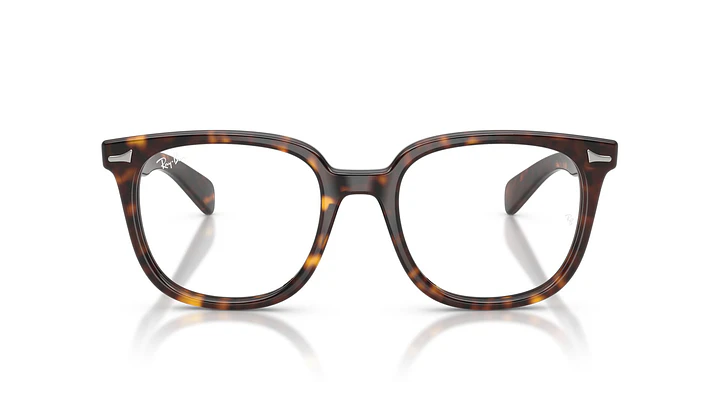 Ray-Ban Brunel Il RX5535 2012 51 6