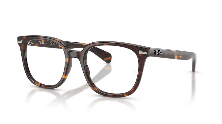 Ray-Ban Brunel Il RX5535 2012 51 1