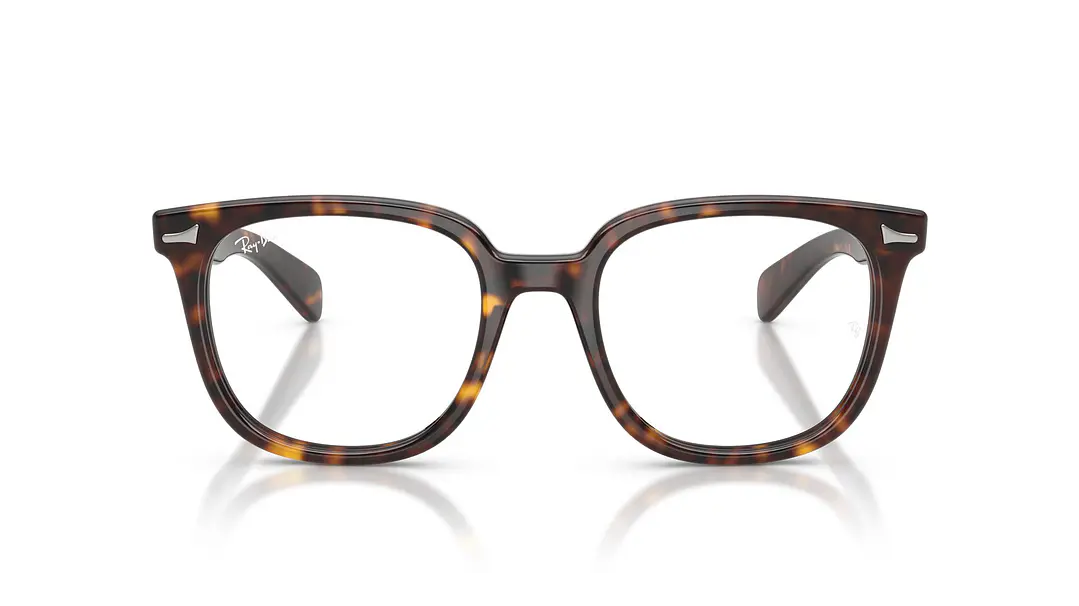 Ray-Ban Brunel Il RX5535 2012 53 6