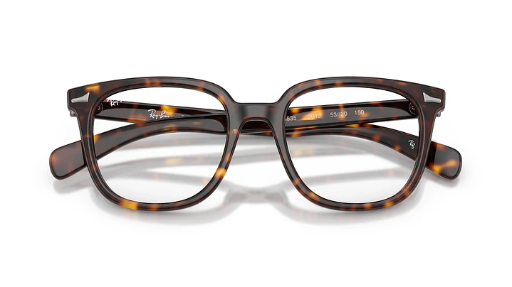 Ray-Ban Brunel Il RX5535 2012 53 5