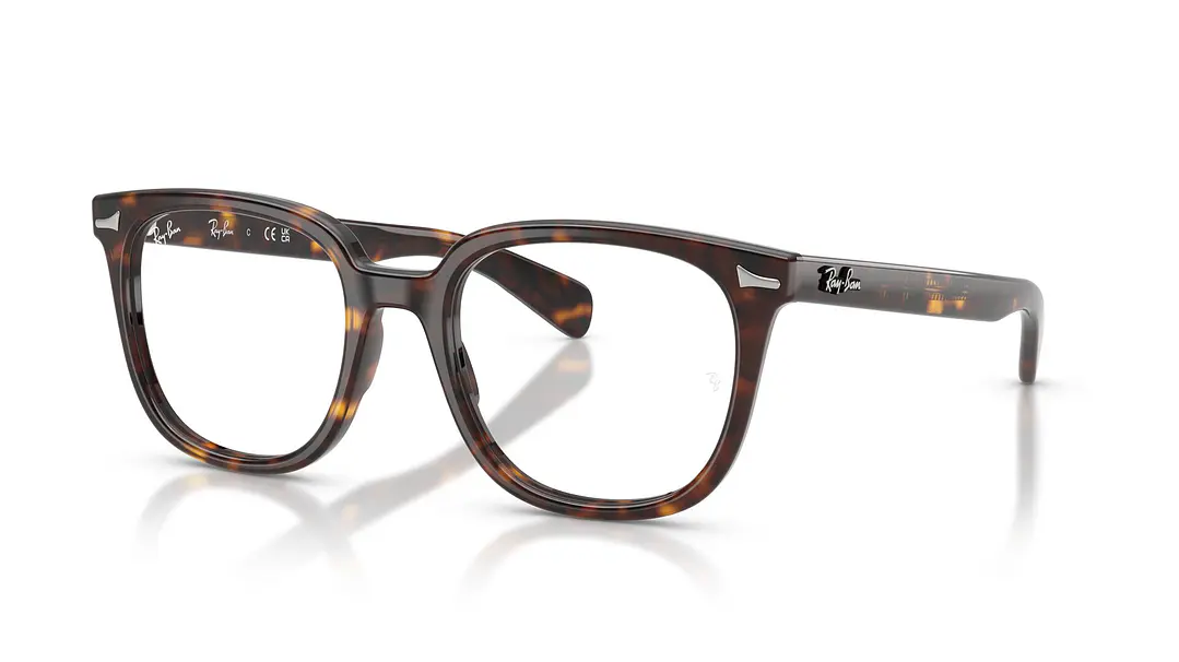 Ray-Ban Brunel Il RX5535 2012 53 1