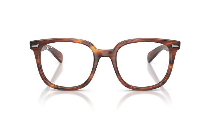 Ray-Ban Brunel Il RX5535 2144 53 6