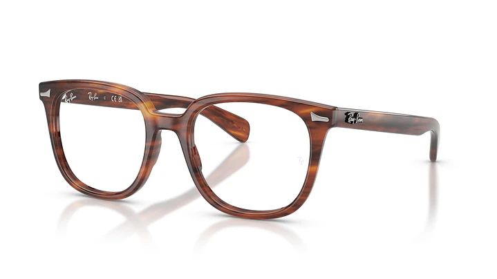 Ray-Ban Brunel Il RX5535 2144 53 1