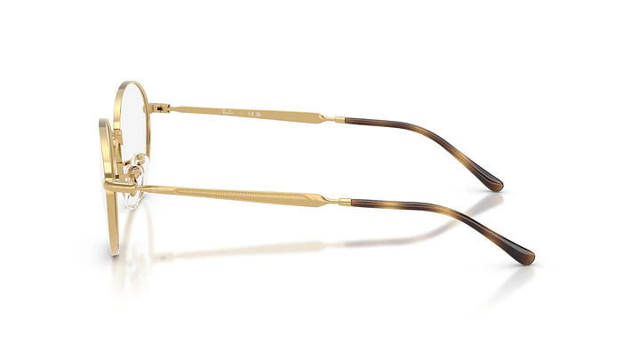 Ray-Ban RX6558 RX6558 2500 52 2
