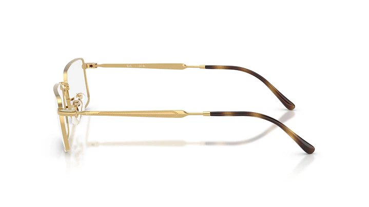 Ray-Ban RX6557 RX6557 2500 54 2