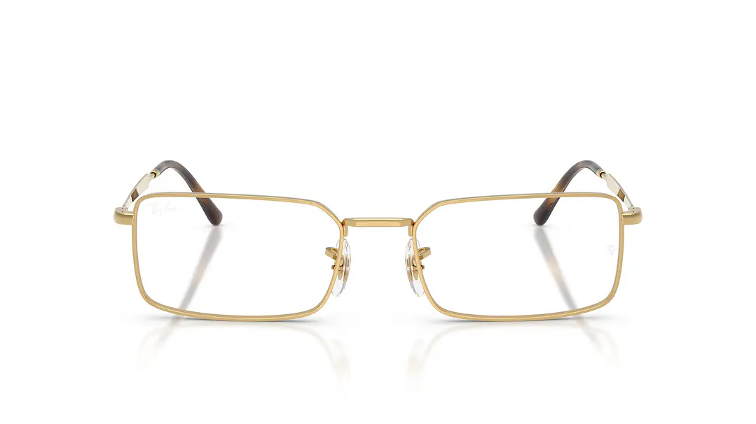 Ray-Ban RX6557 RX6557 2500 54 6