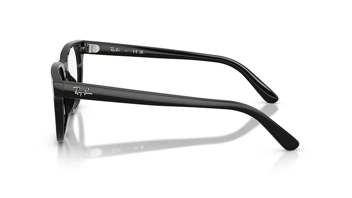 Ray-Ban RX5461D RX5461D 2000 51 2