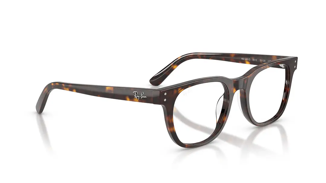 Ray-Ban RX5461D RX5461D 2012 51 4