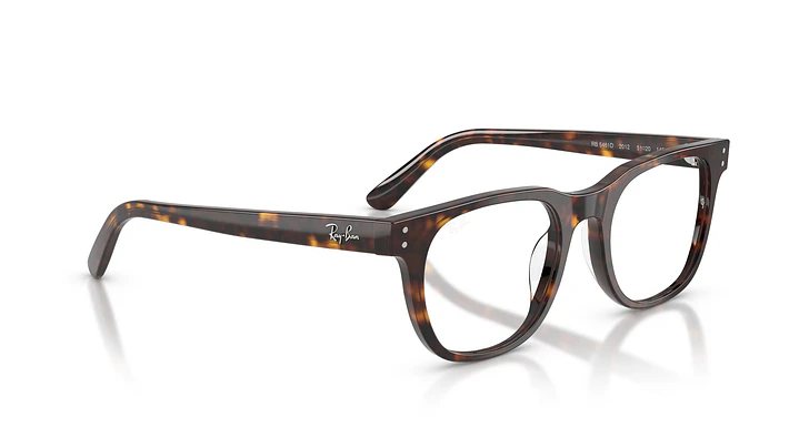 Ray-Ban RX5461D RX5461D 2012 51 4