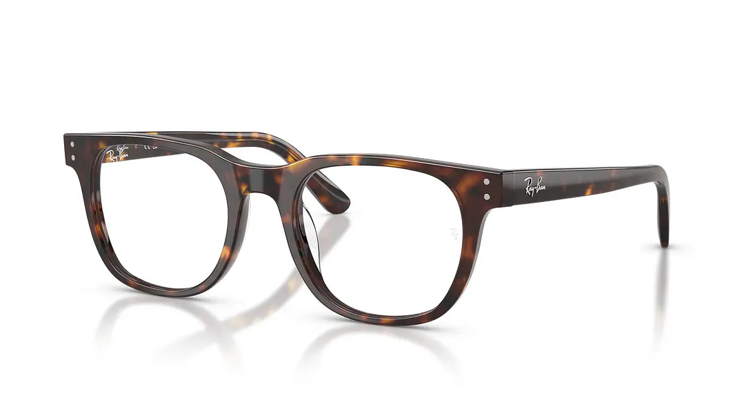 Ray-Ban RX5461D RX5461D 2012 51 1