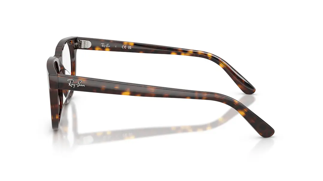 Ray-Ban RX5461D RX5461D 2012 51 2