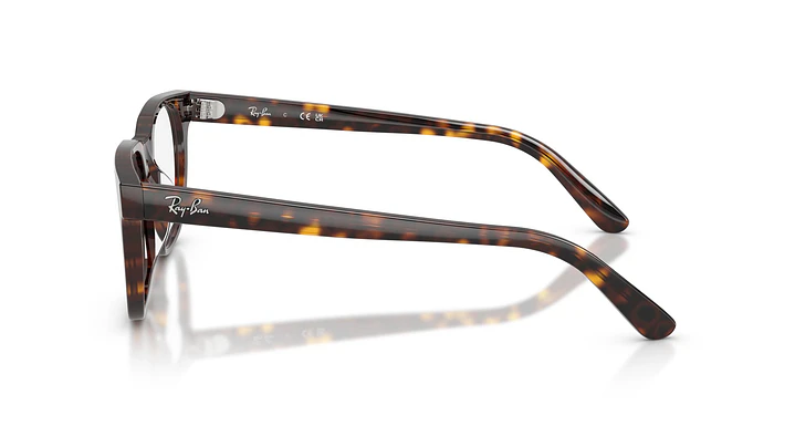 Ray-Ban RX5461D RX5461D 2012 51 2