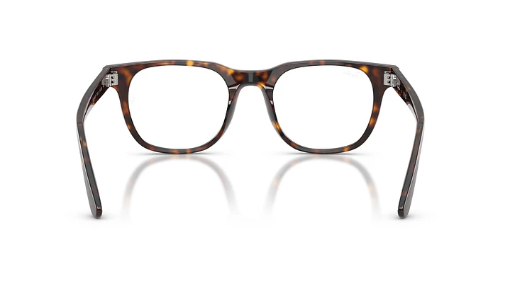 Ray-Ban RX5461D RX5461D 2012 51 3