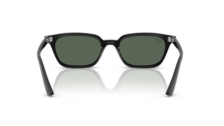 Ray-Ban Zaya RB4456 667771 53 3