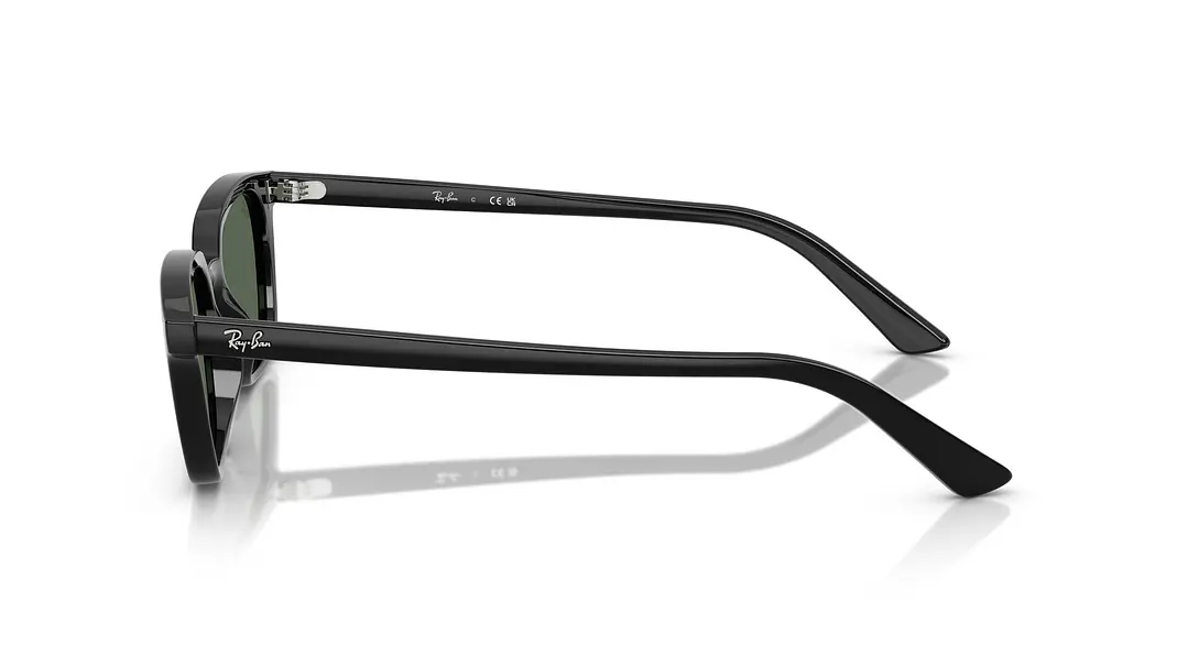 Ray-Ban Zaya RB4456 667771 53 2