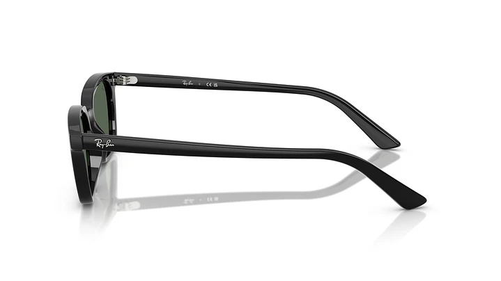Ray-Ban Zaya RB4456 667771 53 2
