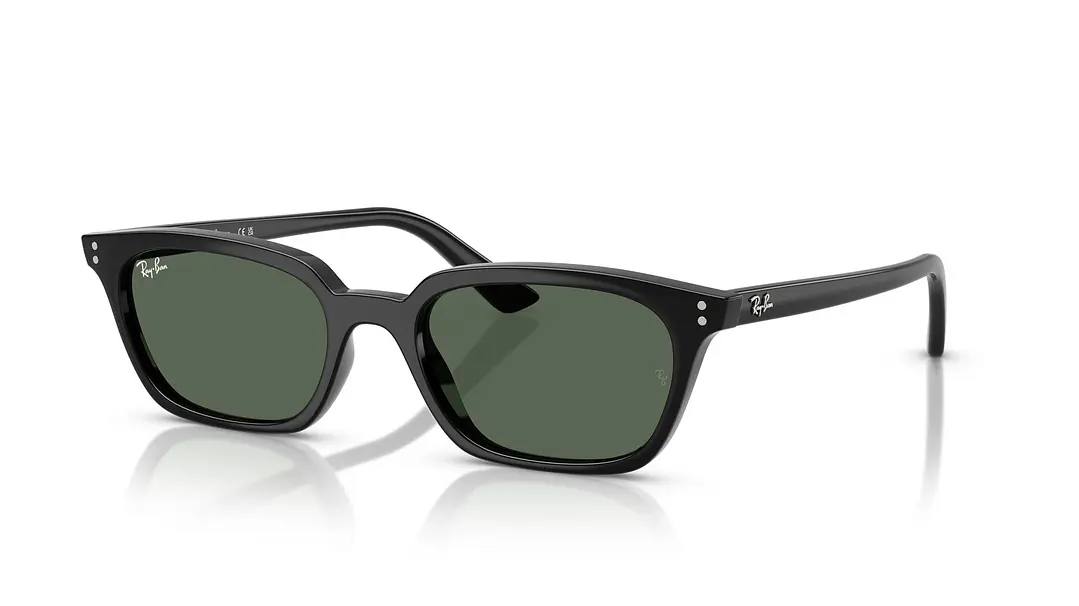 Ray-Ban Zaya RB4456 667771 53 1