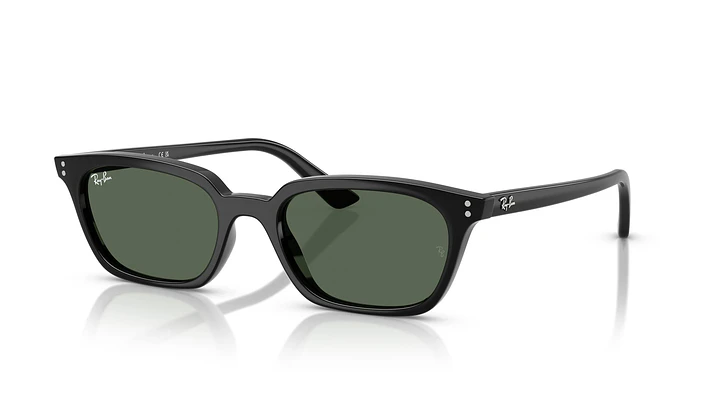 Ray-Ban Zaya RB4456 667771 53 1