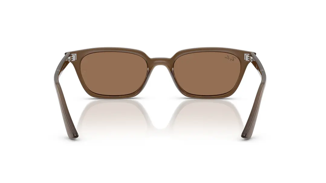 Ray-Ban Zaya RB4456 677973 53 3