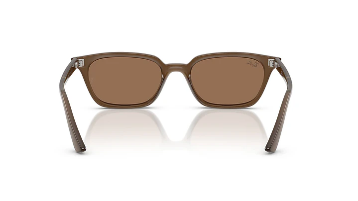 Ray-Ban Zaya RB4456 677973 53 3