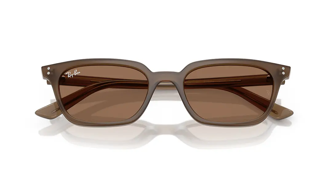 Ray-Ban Zaya RB4456 677973 53 5