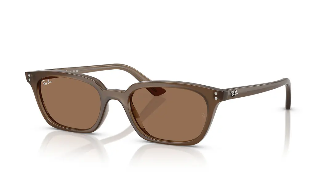 Ray-Ban Zaya RB4456 677973 53 1